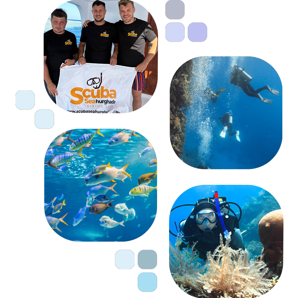 Diving in Hurghada